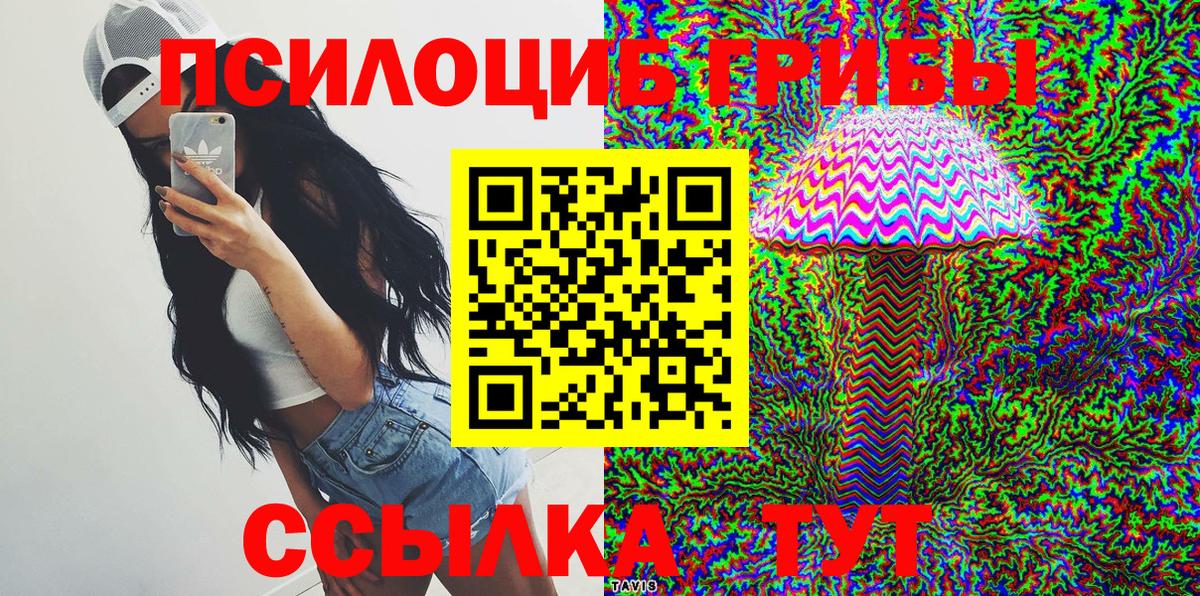 Бердск  Галлюциногенные грибы Magic Shrooms  Вход с VPN  Псилоцибиновые грибы Cubensis 